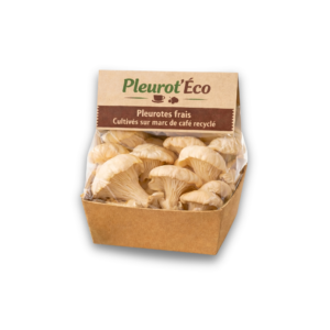 Pleurotes Frais – Sachet 500g